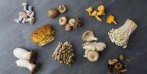 where to get mushrooms in san diego